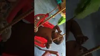 my cute boy rizwan sleeping on swing (10/07/018)