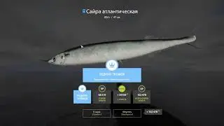 Русская рыбалка 4 Норвежское море (Сайра атлантическая - редкая)