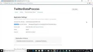 Apache_Flume | 1.4 | Execute Flume in order to download the data from twitter