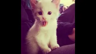 делаем музыку всякую