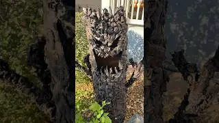 DIY Creepy Halloween Tree 