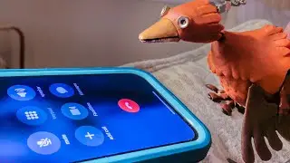 Dabchick calls in a Favor