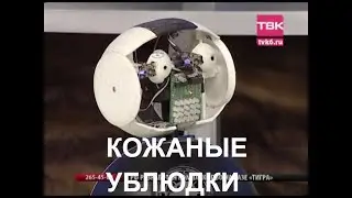 РОБОТ ПЫЛЕСОС⚡Boston Dynamics русская озвучка 18 😁😁😁 Мат
