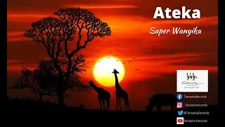 Super Wanyika, Ateka sms [skiza 7741930] to 811
