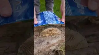 Smart Tip for your camping  