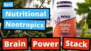 Best Nutritional Nootropics - Brain Power Stack