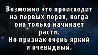 Тенсегрити ведет в детство