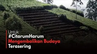 Mengembalikan Budaya Terasering