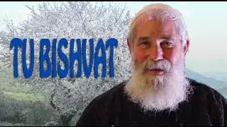✡Tu B'Shevat- Keepers of the Garden