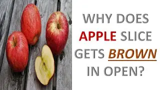 Why does apple slice gets brown in open? ( in hindi)