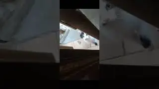 Tinker learned to open the door