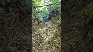 Wąwóz w Kazimierzu Dolnym