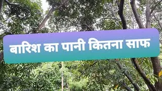 बारिश का पानी कितना साफ देखें वीडियो