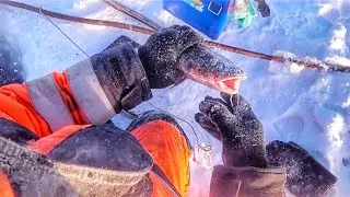 Очередная проверка тычек на налима. Январь 2021. Река Алдан