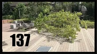 Stormy, Typhoony Weekend | Piece of Z 137▶︎ by Phoenyx787