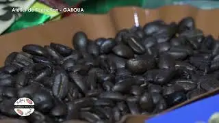 Techniques de brassage du café - Un atelier organisé par l'ONCC à Garoua - Région Nord du Cameroun.
