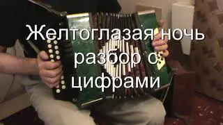 Желтоглазая ночь разбор с цифрами