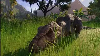 Sleeping Rexy wakes from a nap!