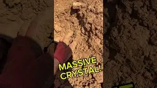 Giant Quartz Crystal!