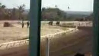 horse racing in nevis 2