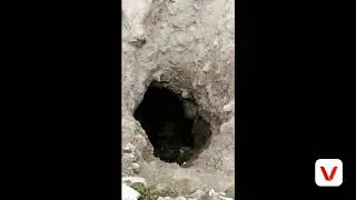 Дар табиати Ватан