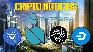 ✅Noticias Criptomonedas: Cardano, IOTA, Dash, Ontology y Cryptopia...