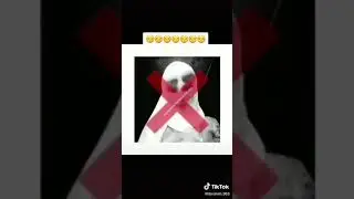 Астахфуруло обязательно бинен мусульмонхо
