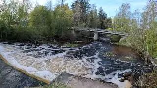 loksa- valge jogi