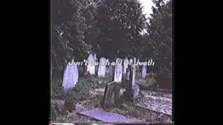 McCafferty vs TFB - McCafferty