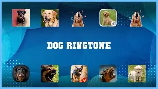Best 10 Dog Ringtone Android Apps