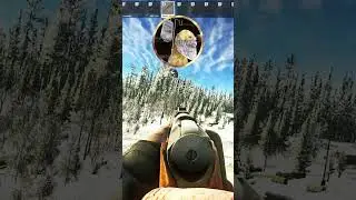 Tuned It For Em 