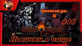 Darkest Dungeon crimson court/color of madness/прохождение даркест данжен #46 ⚔️Новички в чаще☠️