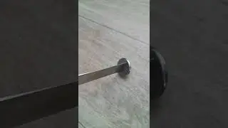 Квоки на сома 