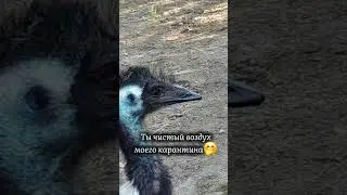 Всем спокойной чмок
