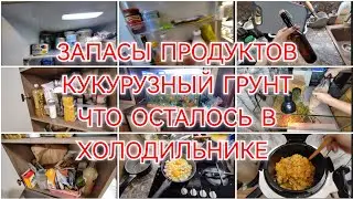 ПРО НОВУЮ РАБОТУ / КОГДА ПЕРВАЯ ЗАРПЛАТА / КТО ПОМОГАЕТ / ЗАПАСЫ ПРОДУКТОВ /17 июня 2024 г.