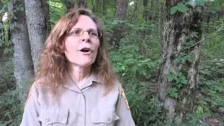 Fibonacci Numbers In Nature with Rose Bando From Ohiopyle State Park