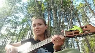 Капитан (23)