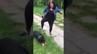 Ротвейлер и бухая хозяйка