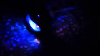 轉轉轉 賺賺賺