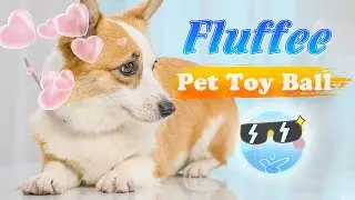 Fluffee Pet Toy Ball: Pet's Best Sidekick
