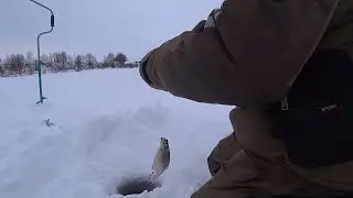 Рыбалка на Оке на дурилку - протяжку в середине марта, так себе клев.