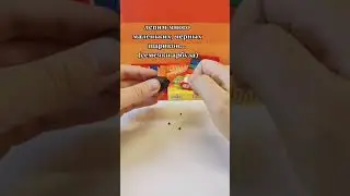 Как слепить АРБУЗ 🍉 из пластилина
