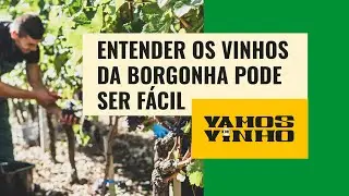 Momento nerd no 'Vamos de Vinho': saiba o que é 'grand cru' e 'premier cru' na Borgonha