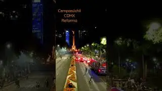 Cempasúchil de noche en Reforma  ángel de la independencia CDMX #cdmx #mexico #viajes #2022