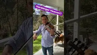 Hardanger Fiddle - Ian Cooper.