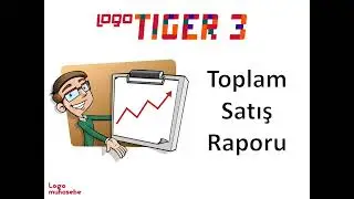 Logo Muhasebe Toplam Satış Rakamları Raporu Nedir?