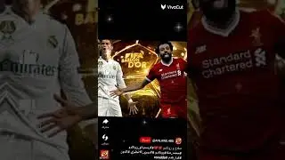 ١٣ أغسطس ٢٠٢٣