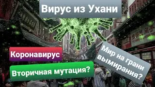 Коронавирус .Вторичная мутация вируса.Секреты происхождения вируса.
