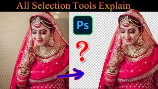 Selection Tools in Adobe Photoshop Explain, Object Selection Tool, Magic Wand Tool, bg Remover