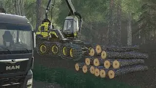 [fr] déforestation total (3)